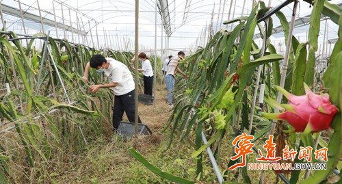 宁远：古色红色绿色 交织成幸福底色3_副本500.jpg