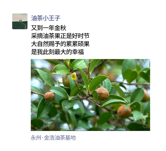 14.jpg 14.jpg