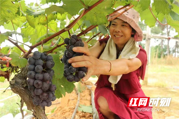 微信图片_202210100829342.jpg 微信图片_202210100829342.jpg
