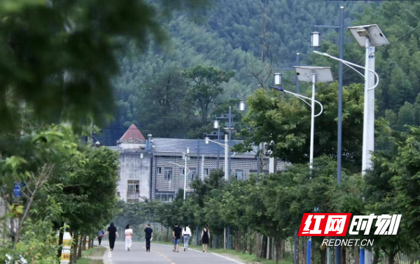 阳明山路灯.png
