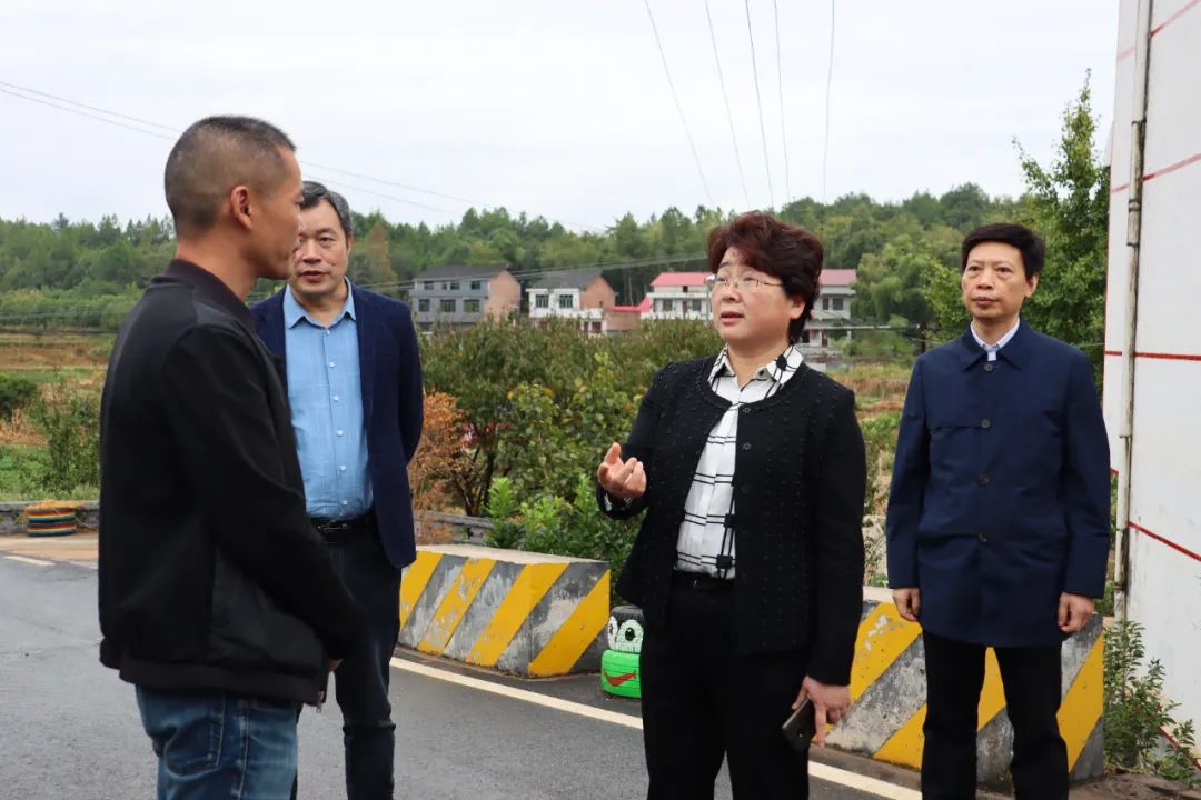让乡村旅游活起来旺起来|周迎春到双清区调研乡村振兴工作(图1)