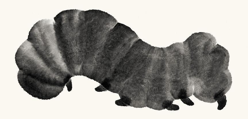图片4.png 图片4.png