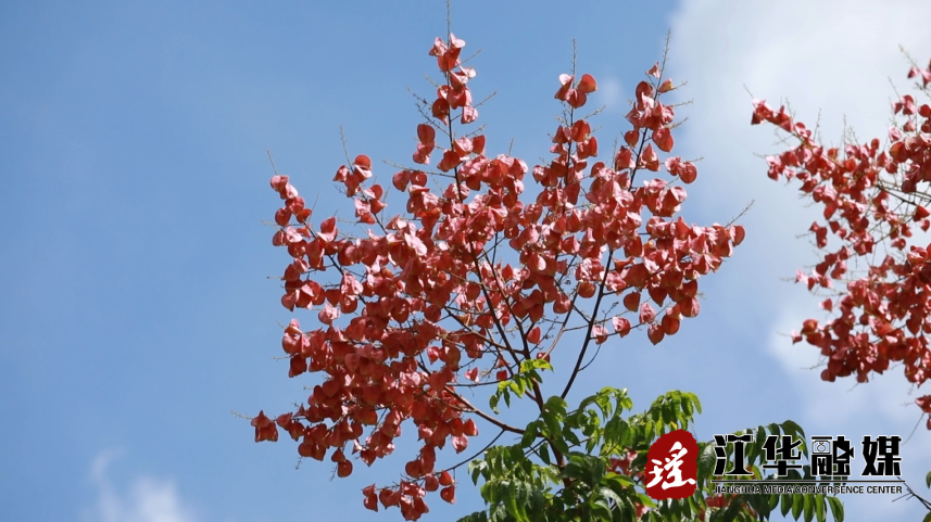 微信截图_20221012163243.png
