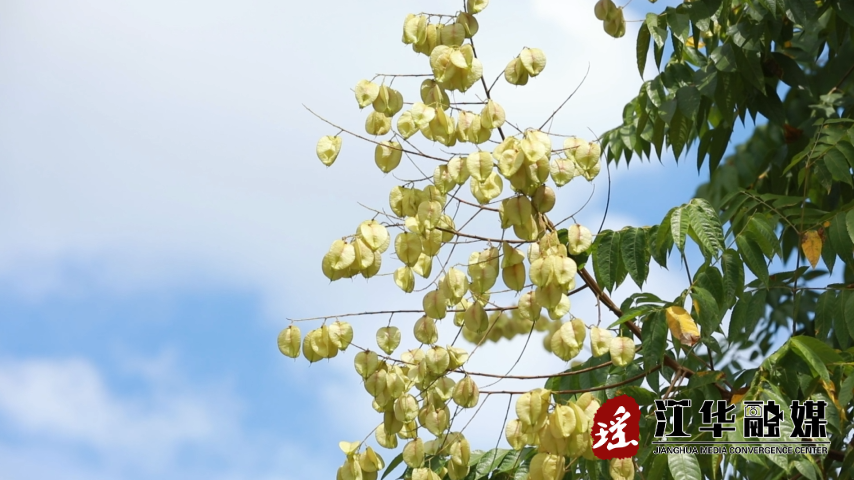 微信截图_20221012163059.png