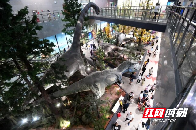 占据长株潭一体化“C位”，天心区底气何在？