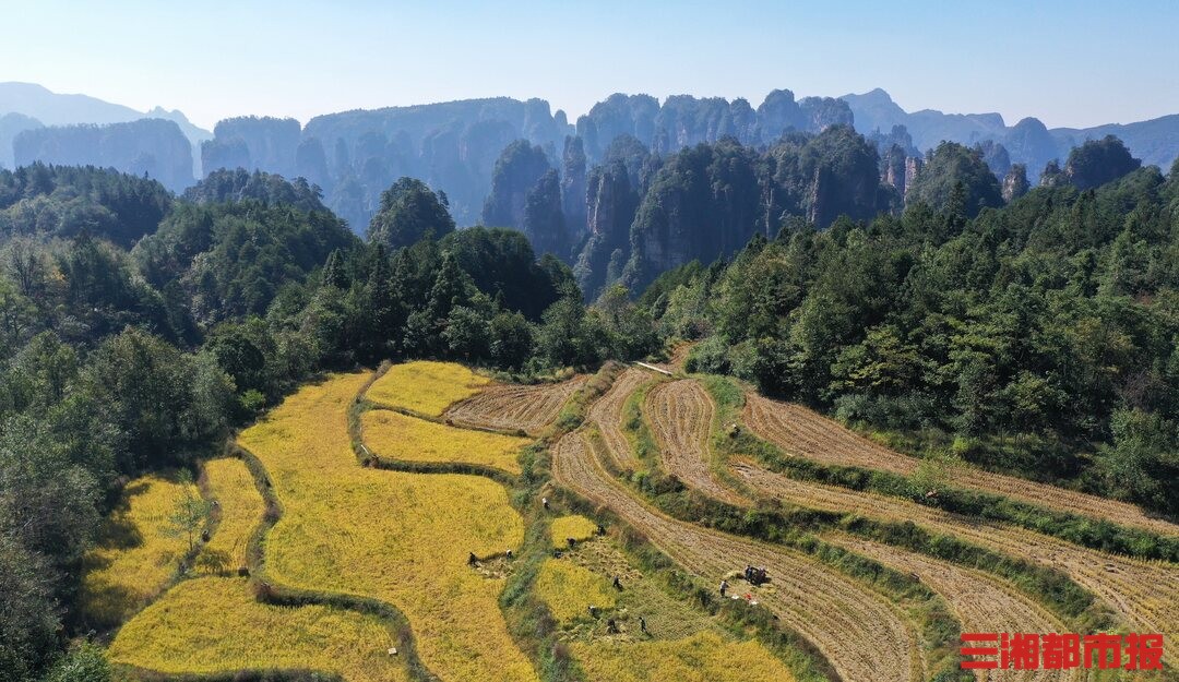 张家界上榜国内十大赏秋旅行目的地