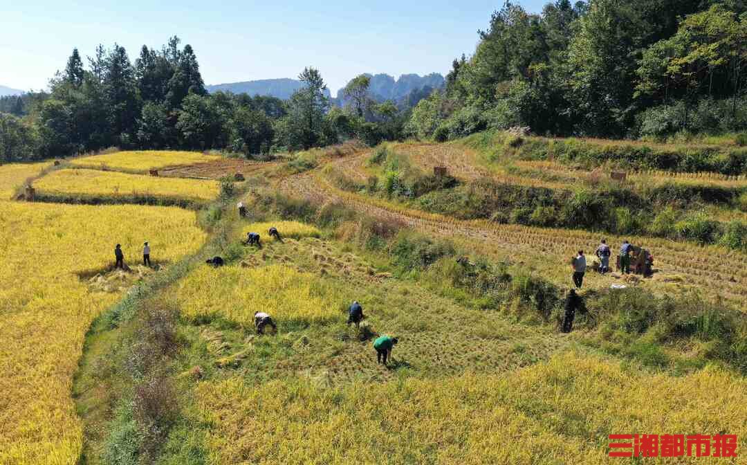 张家界上榜国内十大赏秋旅行目的地