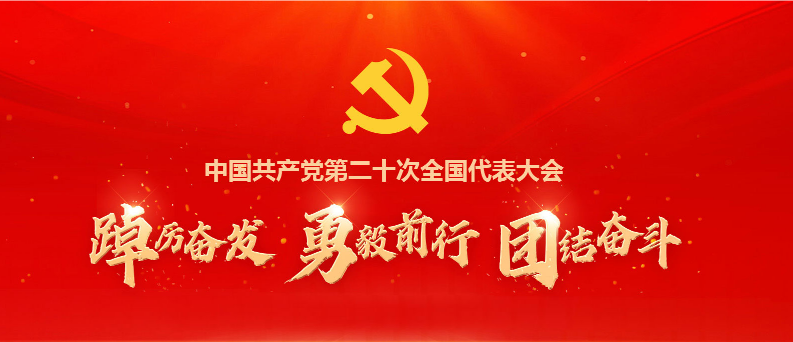 中国共产党第二十次全国代表大会专栏