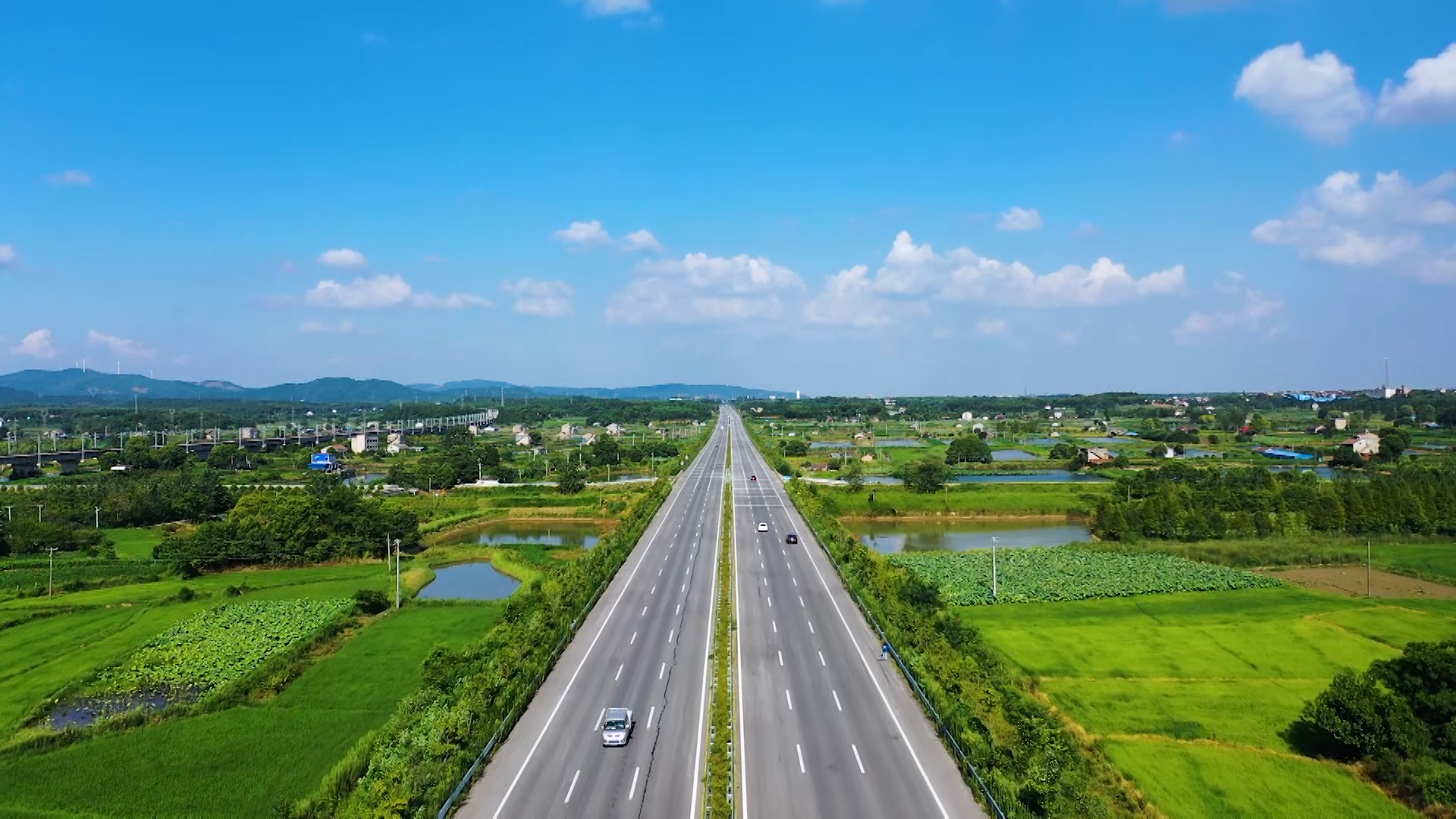 20220904 张帆 跆拳道运动员全力以赴求突破.00_02_04_12.静止003.jpg