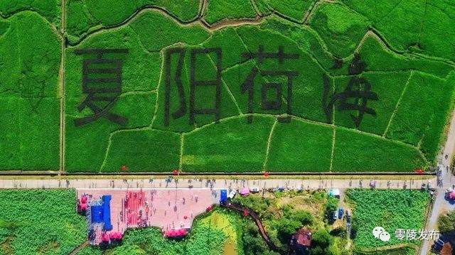 微信图片_20221017171319.jpg