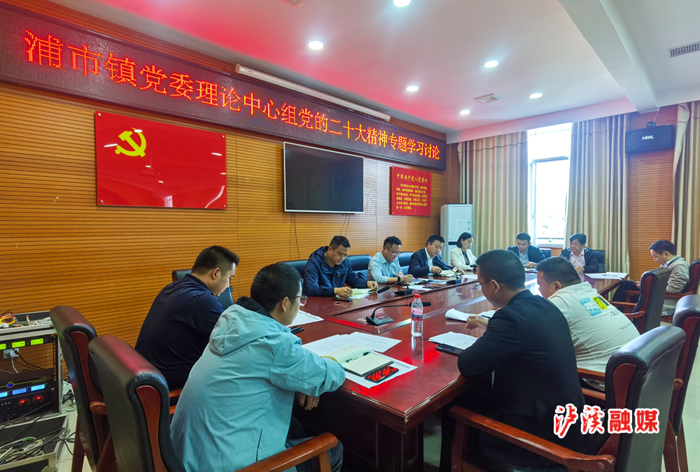 22浦市镇党委理论中心组学习讨论党的二十大报告.jpg