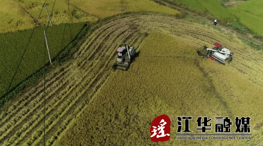 微信截图_20221018091331.png