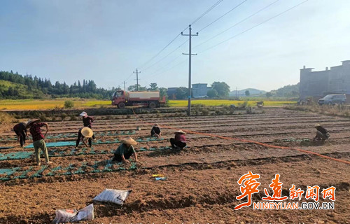 宁远：抗旱打井浇熄油农攻心之火_副本500.jpg