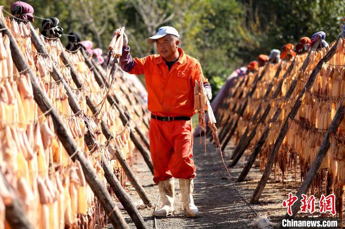 山东省日照市岚山区渔业资源丰富，每年秋季开海后，大量海鲜集中到港。　宋年升 摄