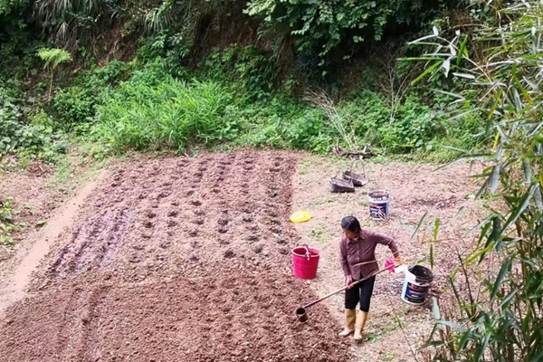 微信图片_20221020090522.jpg 微信图片_20221020090522.jpg