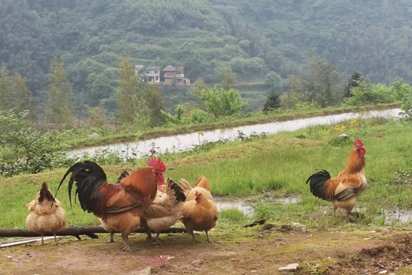 微信图片_20221020090532.jpg 微信图片_20221020090532.jpg