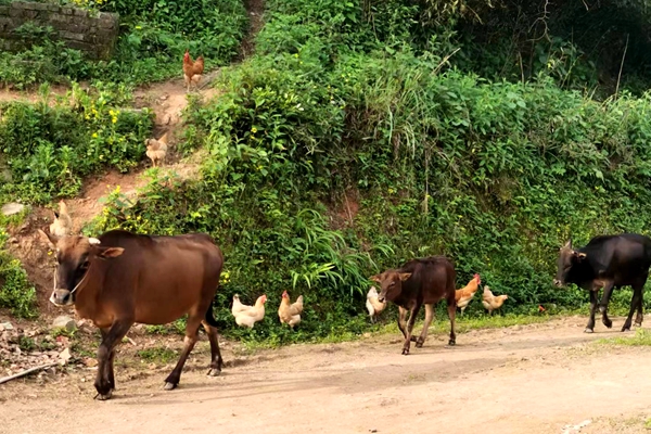 微信图片_20221020090529.jpg 微信图片_20221020090529.jpg