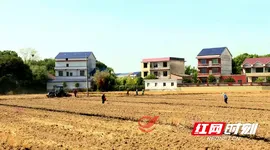 攸县：打响抗旱保种主动战