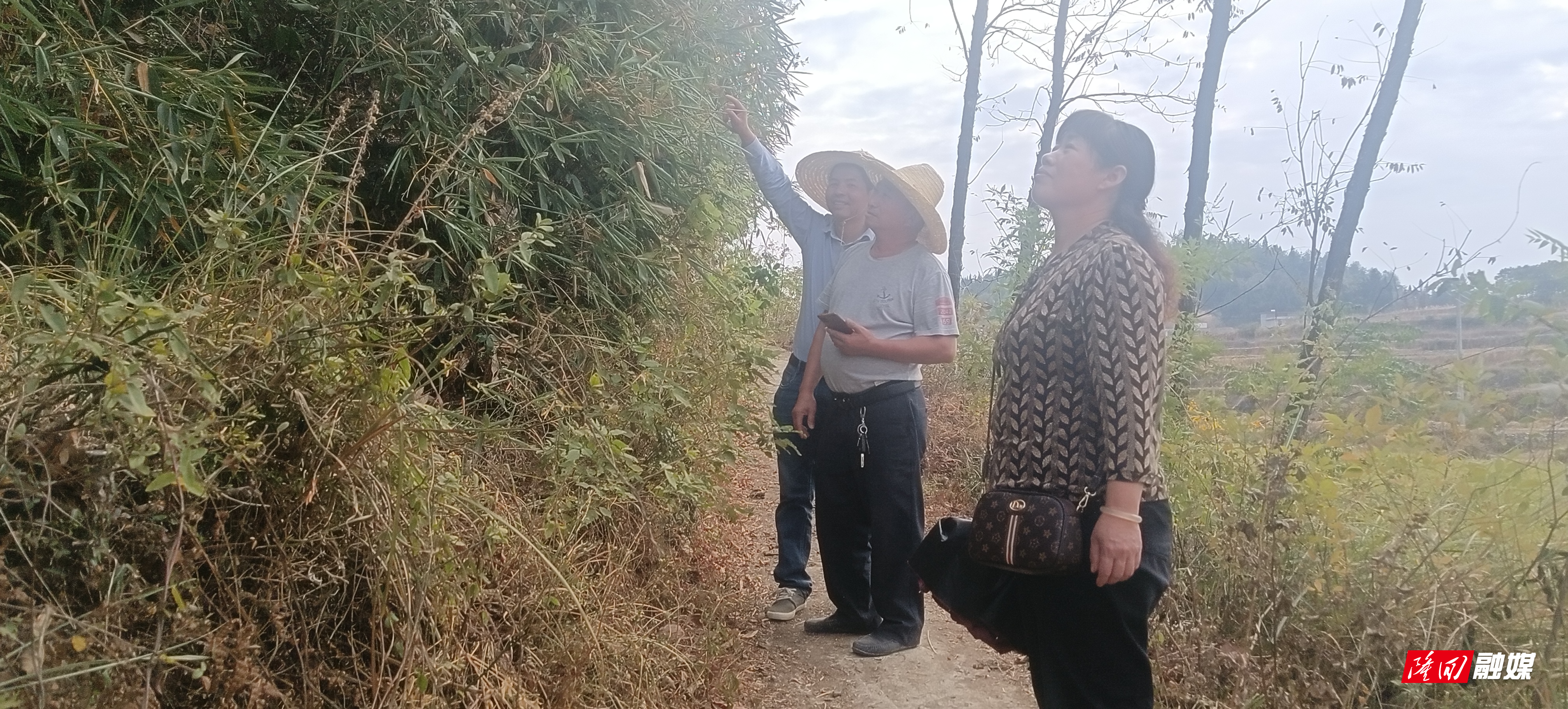 微信图片_20221021151528.jpg 微信图片_20221021151528.jpg