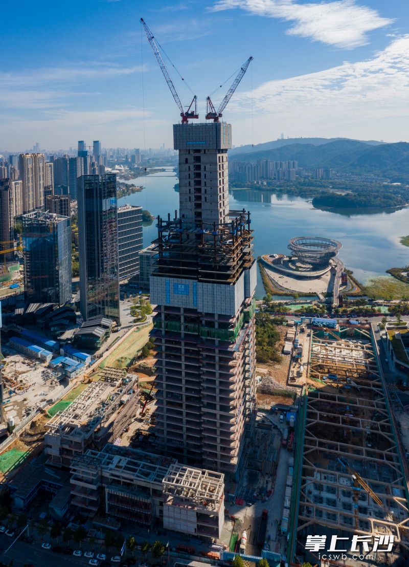 10月20日，梅溪湖第一高楼金茂大厦突破200米，项目建设取得阶段性胜利。 长沙晚报全媒体记者 邹麟 摄