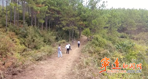 宁远：立体巡防 筑牢森林“防火墙”_副本500.jpg