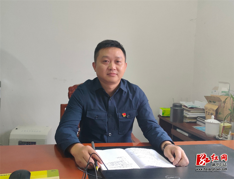 杨华.jpg