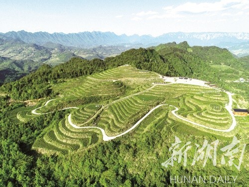 非凡十年·张家界答卷|大美永定绽新颜——张家界市永定区经济社会发展的非凡十年