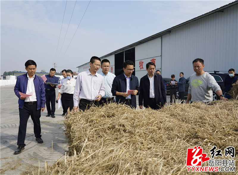 在中洲乡秸秆综合利用现场了解情况.jpg