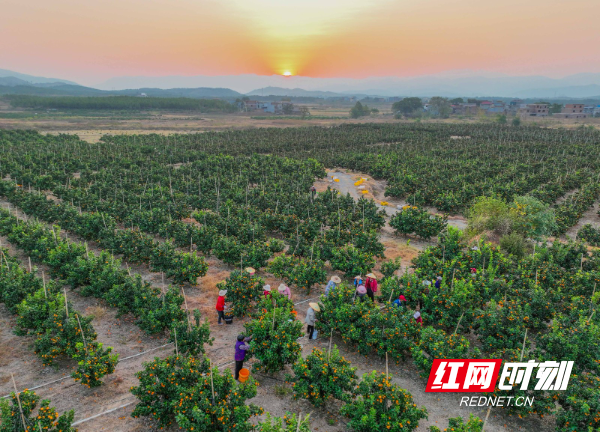 DJI_0916副本.jpg