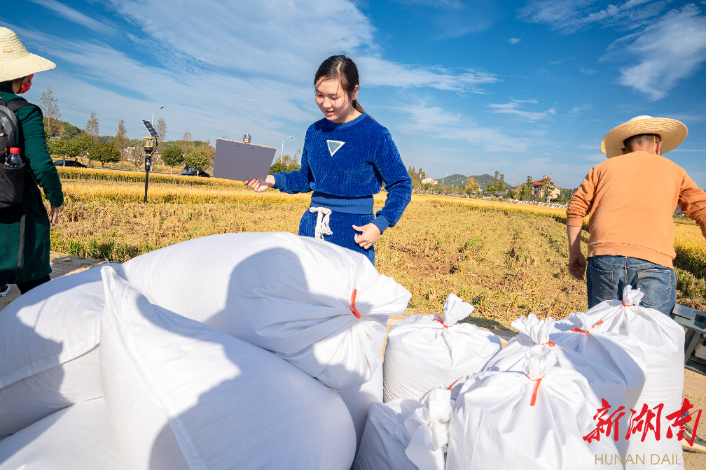 长沙县双季稻“四高”示范点报丰收平均亩产1275.8公斤