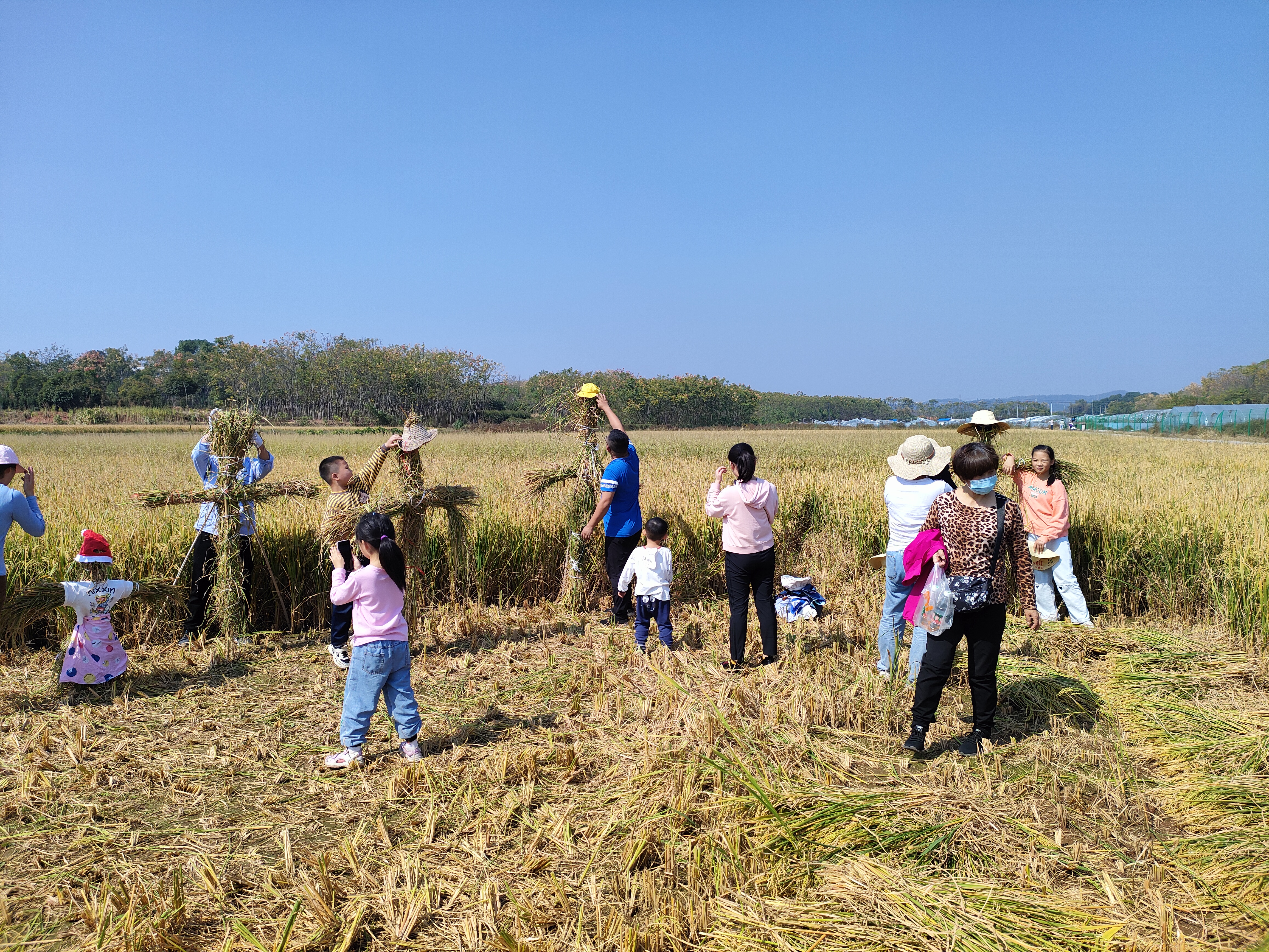 农耕文化亲子活动孩子们在金色田园扎稻草人拍照.jpg