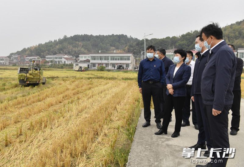 10月26日下午,省委常委、市委书记吴桂英深入宁乡市宣讲党的二十大精神,督导抗旱保收、森林防火等工作。均为长沙晚报全媒体记者 余劭劼 摄 10月26日下午,省委常委、市委书记吴桂英深入宁乡市宣讲党的二十大精神,督导抗旱保收、森林防火等工作。均为长沙晚报全媒体记者 余劭劼 摄