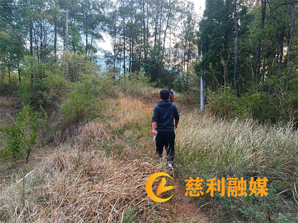 图片8.png 图片8.png