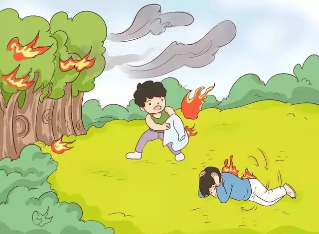 这些森林防火知识,一定要牢记!_媒体聚焦_苏仙新闻网