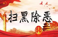 扫黑除恶专栏
