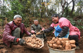 Targeted poverty alleviation enables the disabled to pursue dreams