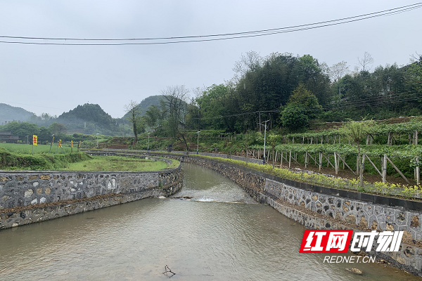 永顺县水系连通及水美乡村建设（溪鸡河生态护岸）.png
