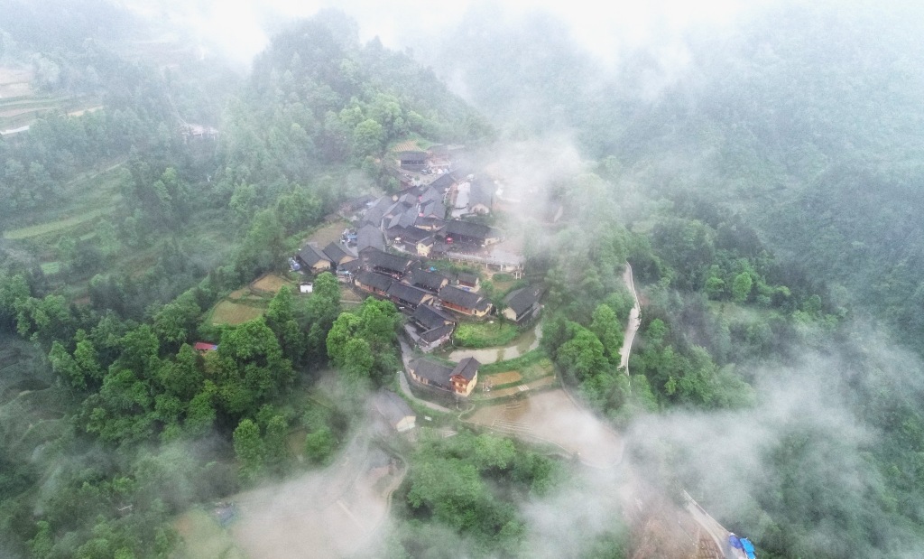 The Pear Trees Can Talk in Shibadong Village