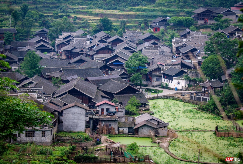 罗荣华高椅村1.jpg