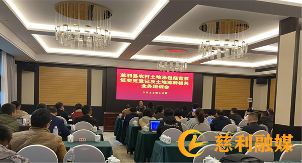 图片01.jpg