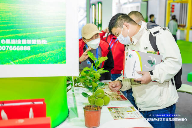 图片4.png 图片4.png