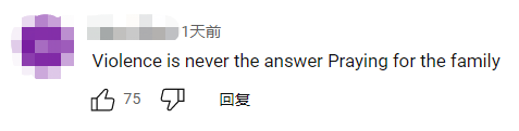 佩洛西丈夫遇袭 外媒:“美国政治正在溃烂”_fororder_7