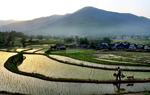 《夕阳伴归途》 林峰  摄_副本.jpg