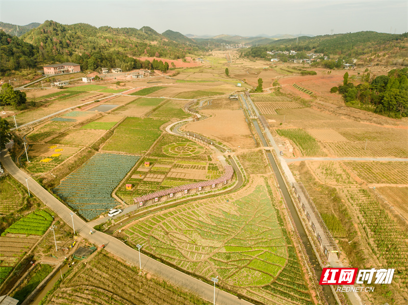 夜宿梨山田园风光航拍02.jpg