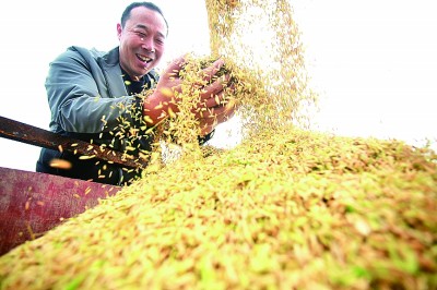 抱团聚力 让兴村富民火更旺 抱团聚力 让兴村富民火更旺