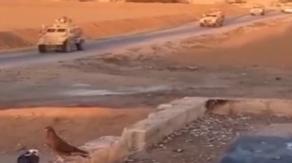 1667617614393357.png 微信截图_20221105110631.png