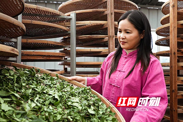 图片11.jpg 图片11.jpg