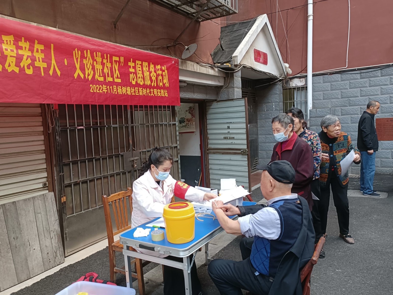杨树图1.jpg