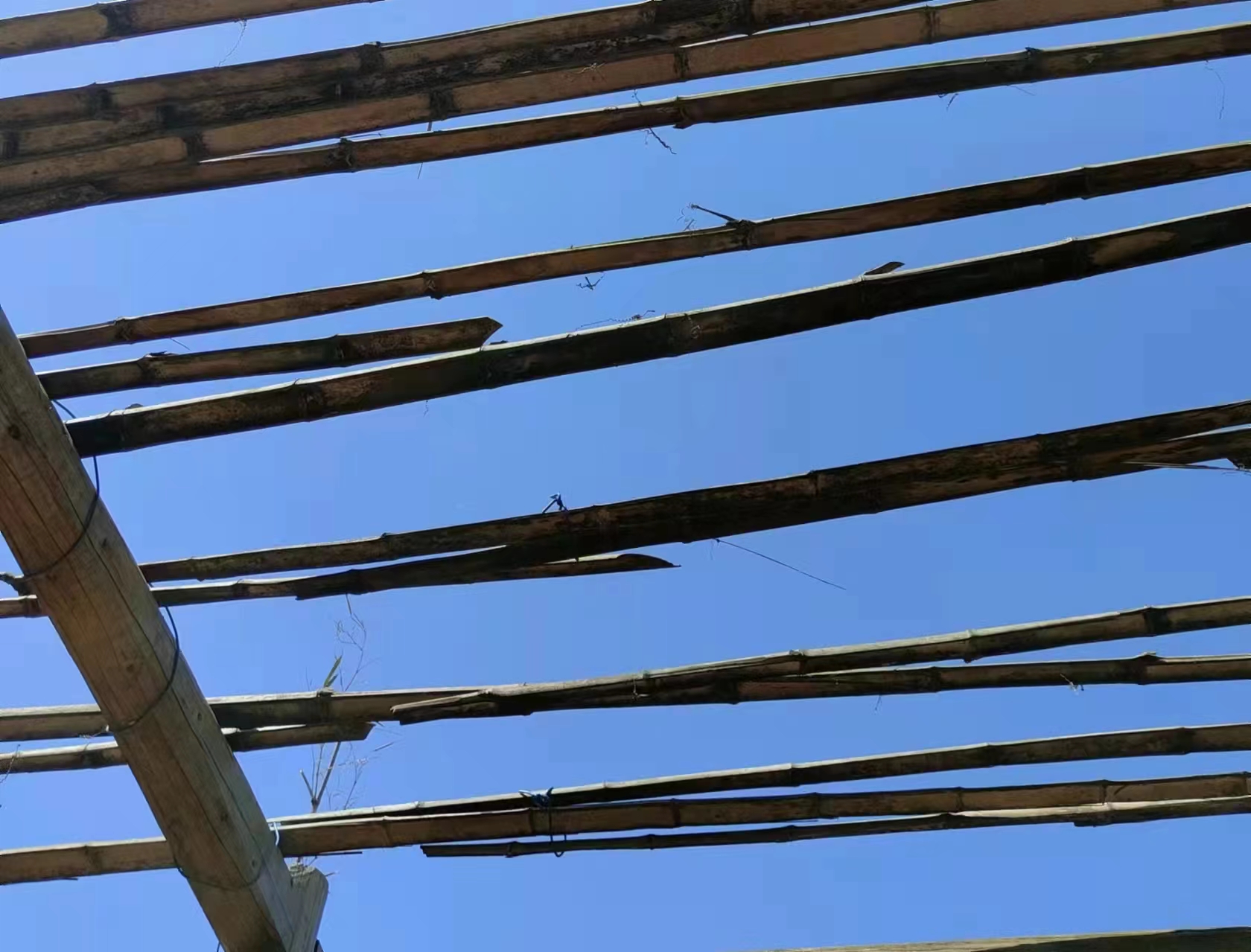 微信图片_20221109093743.jpg 微信图片_20221109093743.jpg