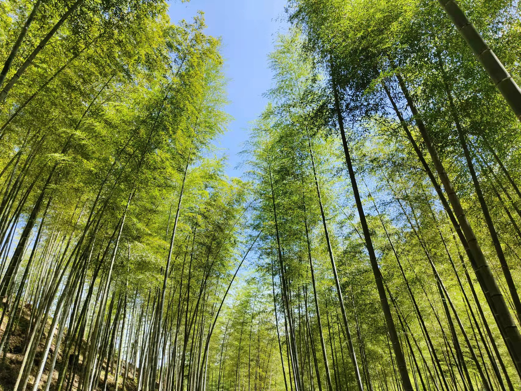 微信图片_20221109093741.jpg 微信图片_20221109093741.jpg